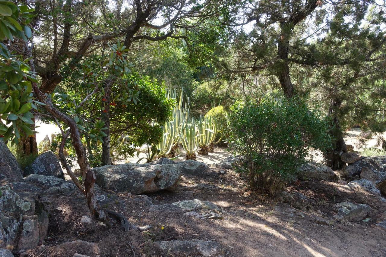 Domaine De La Punta Villa Porto-Vecchio  Eksteriør bilde
